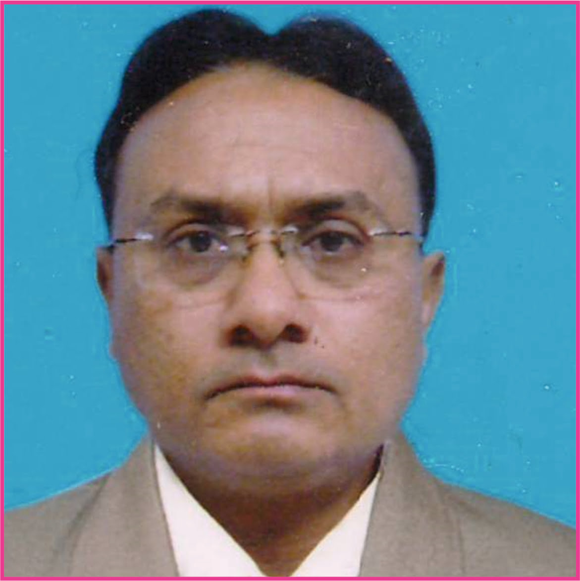 Prof. Raheel Inamdar